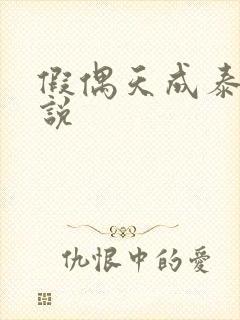 假偶天成泰国小说