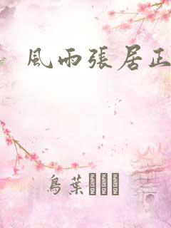 风雨张居正下载