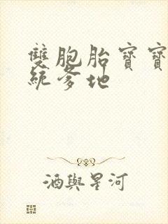 双胞胎宝宝的总统爹地