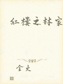 红楼之林家有妻