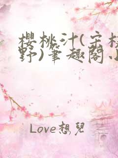 樱桃汁(宋枝江野)笔趣阁小说