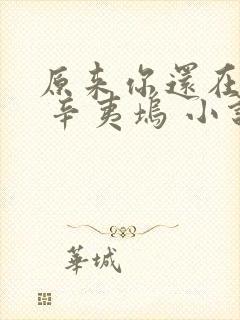 原来你还在这里 辛夷坞 小说