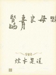 贤妻良母 鹦鹉晒月