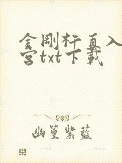 金刚杵直入莲花宫txt下载