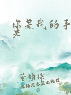 你是我的手冢国光