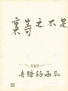 重生之不是非你不可