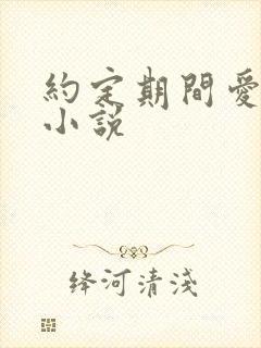 约定期间爱上你小说