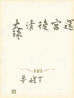 大清后宫还君明珠