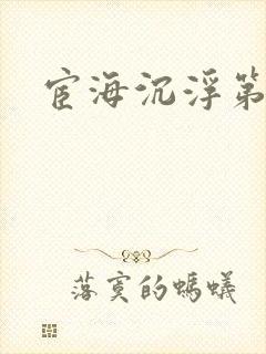 宦海沉浮第三部