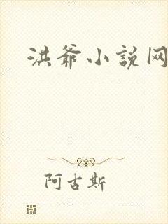洪爷小说网
