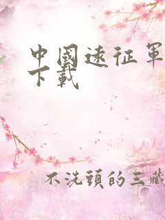 中国远征军全集下载