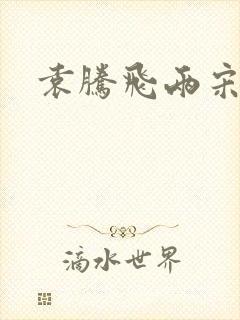 袁腾飞两宋风云