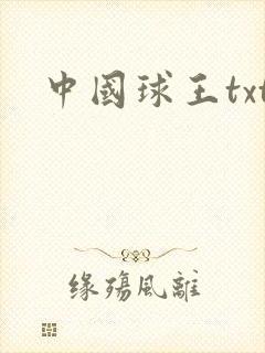 中国球王txt