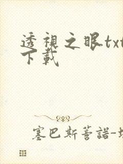 透视之眼txt下载