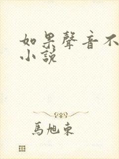 如果声音不记得小说