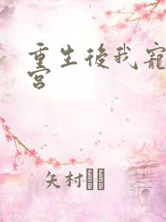 重生后我宠冠东宫