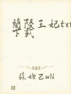 兰陵王妃txt下载