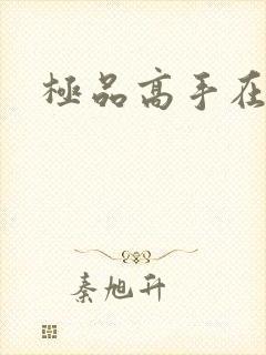 极品高手在异界