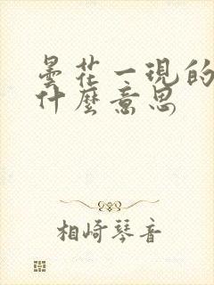 昙花一现的现是什么意思