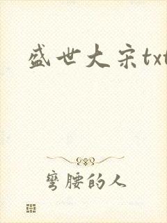 盛世大宋txt