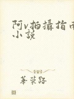 阿v拍摄指南说小说