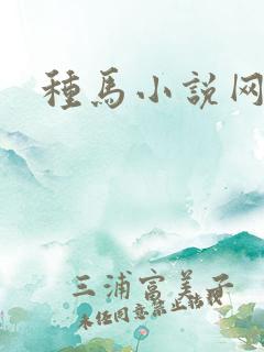 种马小说网