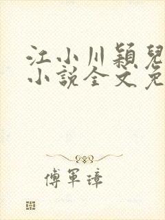 江小川颖儿穿越小说全文免费阅读