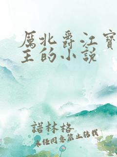 厉北爵江宝宝男主的小说