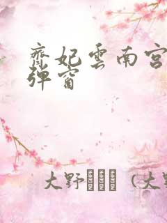 齐妃云南宫夜无弹窗