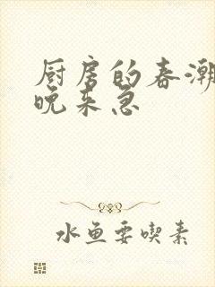 厨房的春潮带雨晚来急