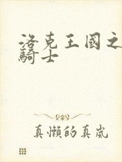 洛克王国之圣龙骑士