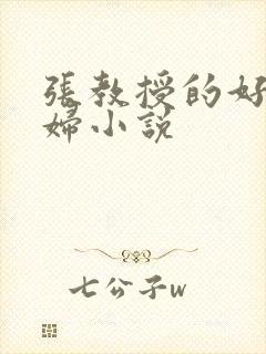 张教授的好儿媳妇小说