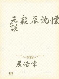 元毅辰沈怀妆小说