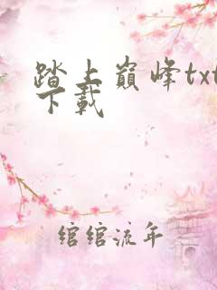 踏上巅峰txt下载