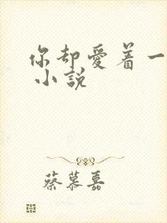 你却爱着一个他 小说