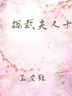 总裁夫人十八岁