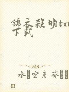 锦衣杀明txt下载