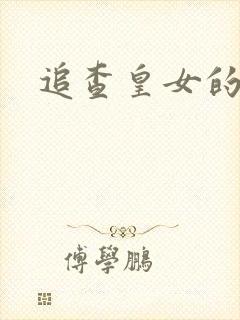 追查皇女的踪迹