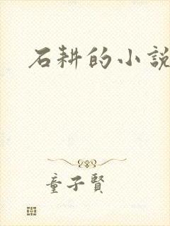 石耕的小说