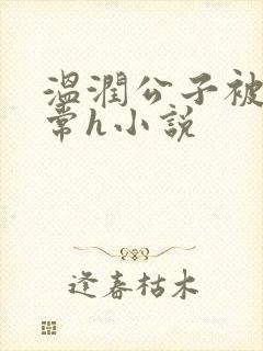 温润公子被脔日常h小说