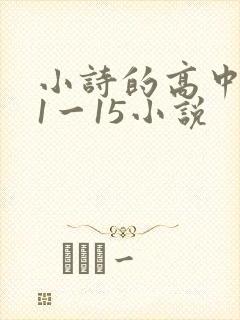 小诗的高中日记1一15小说