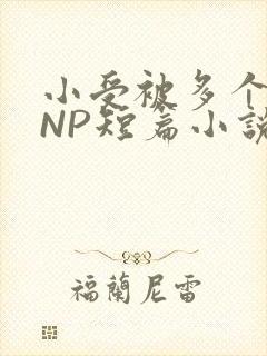 小受被多个攻强NP短篇小说