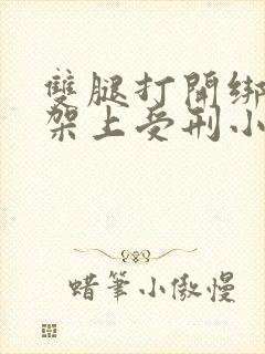双腿打开绑在刑架上受刑小说