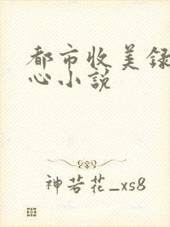都市收美录宁素心小说