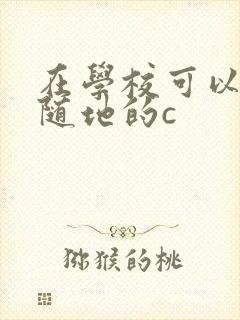 在学校可以随时随地的c