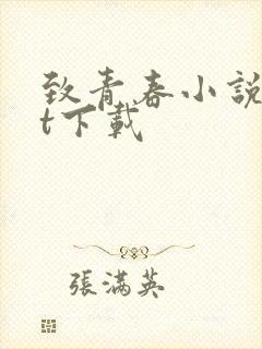 致青春小说txt下载