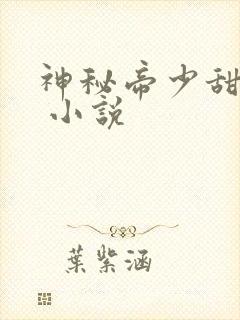 神秘帝少甜宠妻 小说