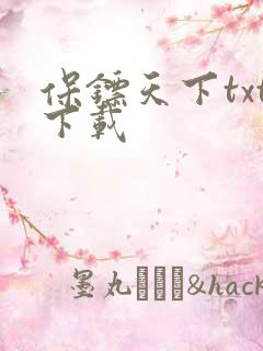 保镖天下txt下载