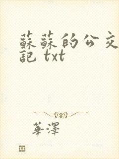 苏苏的公交车日记 txt