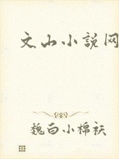 文山小说网